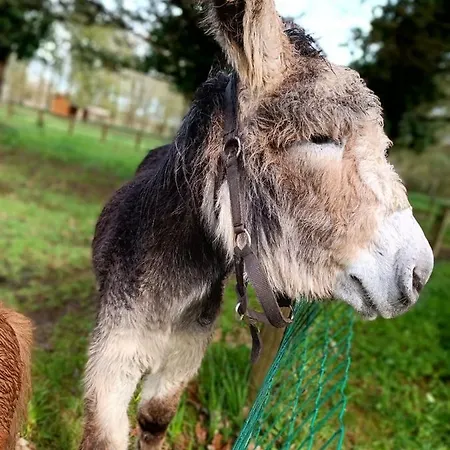 אתר קמפינג Coeur De Vendee Mobil 6 Personnes