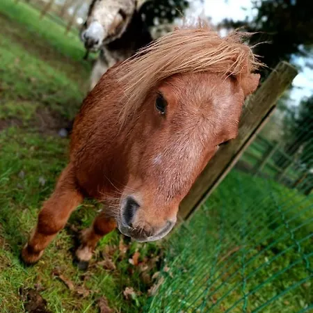 Coeur De Vendee Mobil 6 Personnes