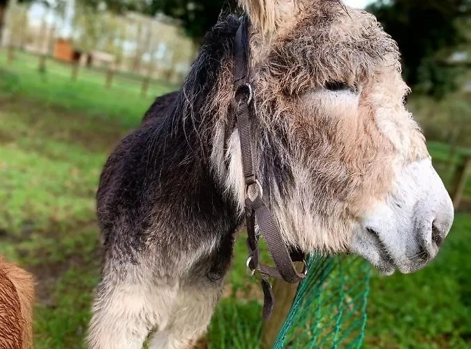 مكان تخييم Coeur De Vendee Mobil 6 Personnes