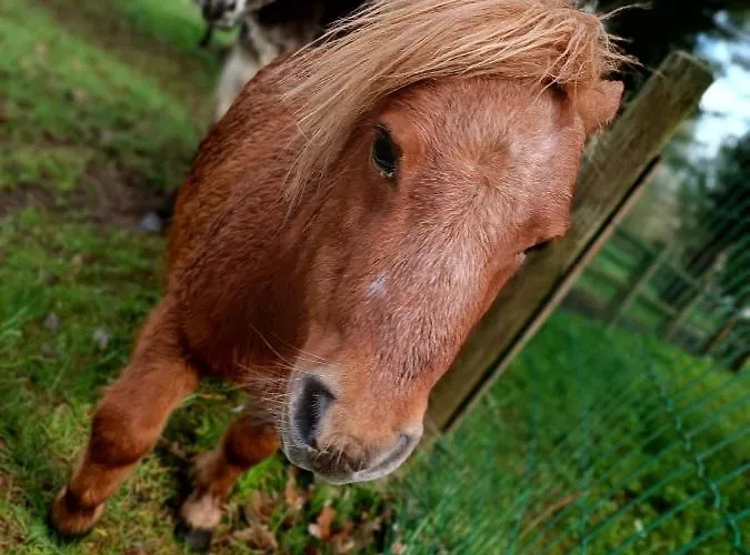 Coeur De Vendee Mobil 6 Personnes